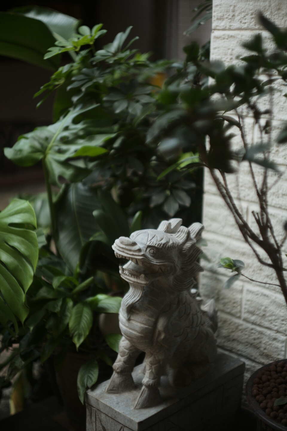 石兽与绿植 — 柔和衰减